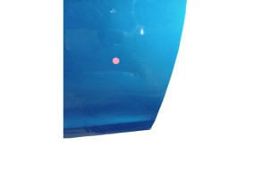 Porte avant droit DACIA SANDERO 2 Photo n°6