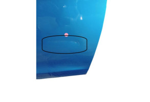 Porte avant droit DACIA SANDERO 2 Photo n°9