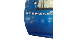 Porte avant gauche DACIA SANDERO 2 Photo n°5