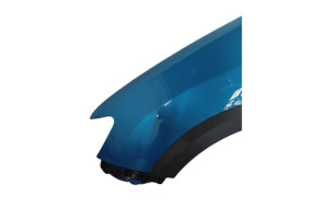 Aile avant gauche DACIA SANDERO 2 Photo n°4