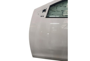 Porte avant gauche DACIA SANDERO 2 Photo n°3