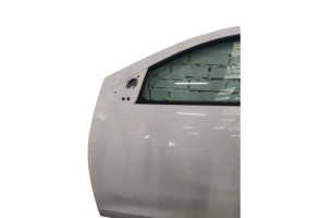 Porte avant gauche DACIA SANDERO 2 Photo n°4