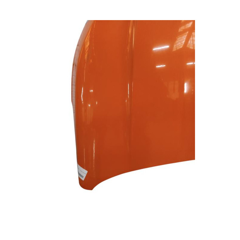 Capot RENAULT EXPRESS VAN Photo n°1