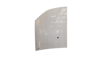 Capot DACIA SANDERO 2 Photo n°1