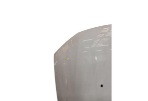 Capot DACIA SANDERO 2 Photo n°3