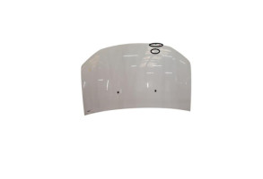 Capot DACIA SANDERO 2 Photo n°9