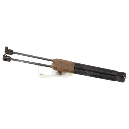 Verin de coffre DACIA DUSTER 1