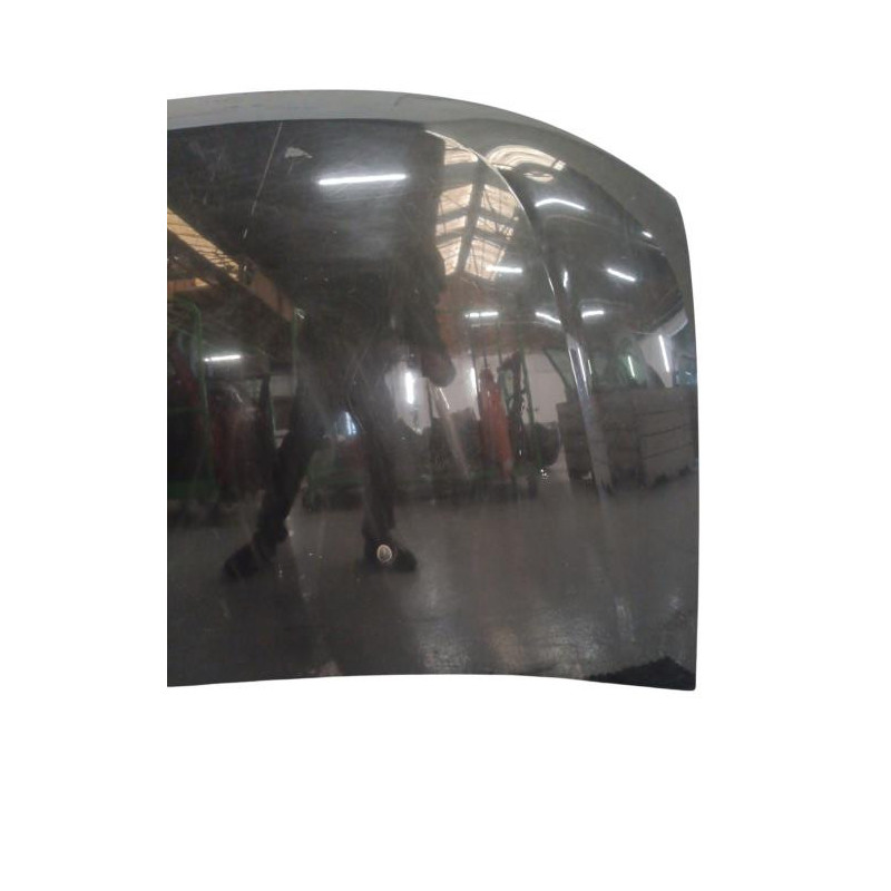 Capot DACIA DUSTER 1 Photo n°1