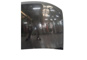 Capot DACIA DUSTER 1 Photo n°1