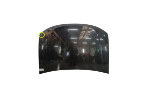 Capot DACIA DUSTER 1 Photo n°5