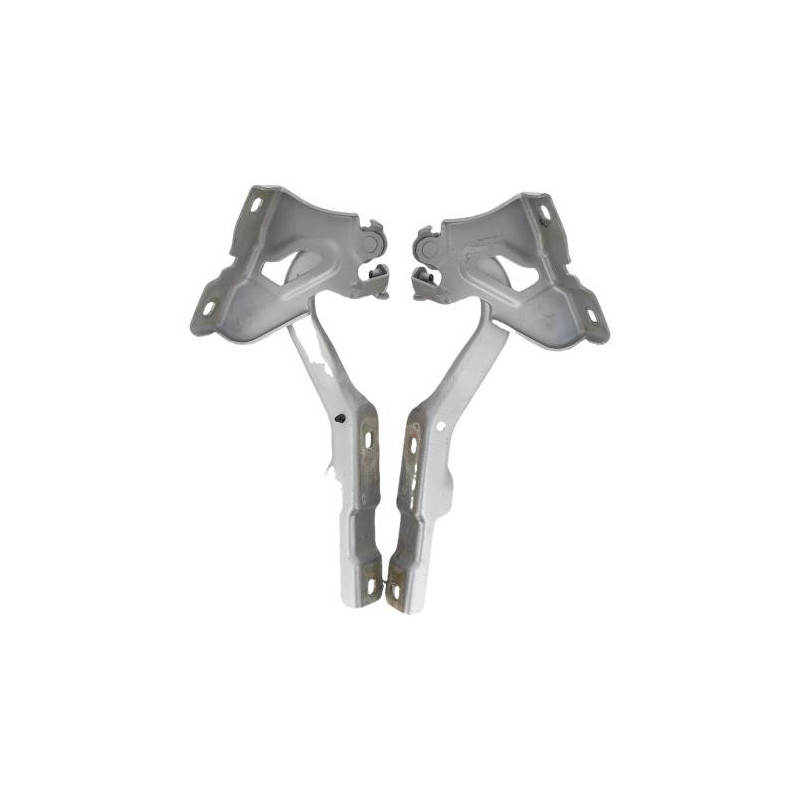 Charniere de capot DACIA SANDERO 3 Photo n°1