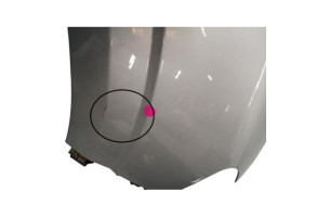 Aile avant droit DACIA SANDERO 3 Photo n°9