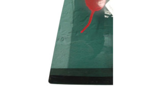 Custode arriere gauche (porte) RENAULT MEGANE 3 Photo n°5