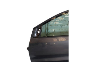 Porte avant gauche VOLKSWAGEN POLO 5 Photo n°1
