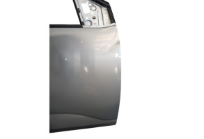 Porte avant droit DACIA SANDERO 3 Photo n°8