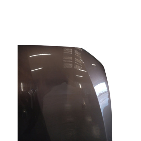 Capot BMW SERIE 1 F20