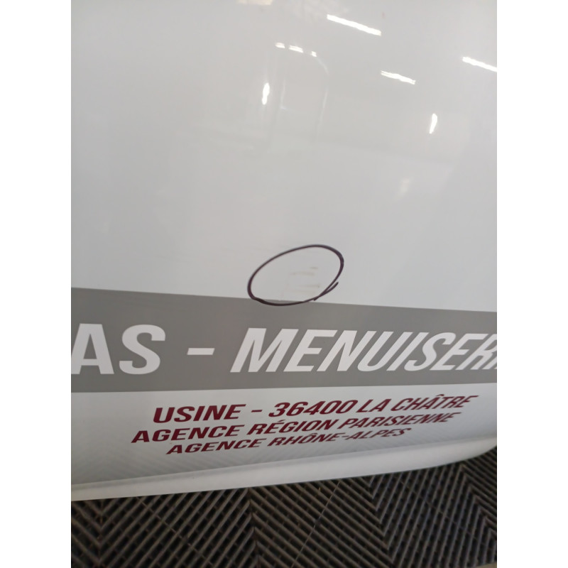 Porte avant gauche RENAULT ZOE 1 Photo n°1