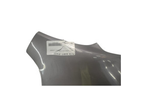Aile avant droit RENAULT LAGUNA 3 Photo n°3