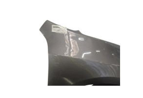 Aile avant droit RENAULT LAGUNA 3 Photo n°4