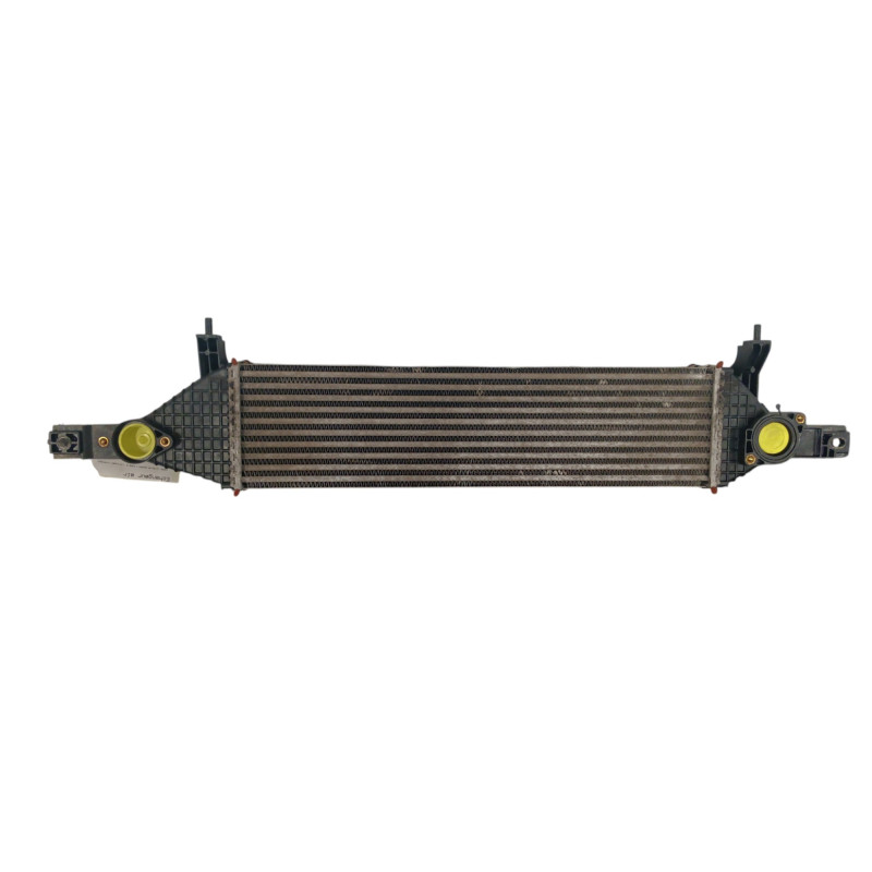 Echangeur air (Intercooler) NISSAN QASHQAI 1 Photo n°1