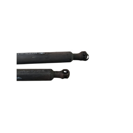Verin de coffre RENAULT SCENIC 3