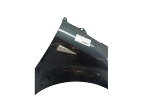 Aile avant droit RENAULT SCENIC 2 Photo n°6
