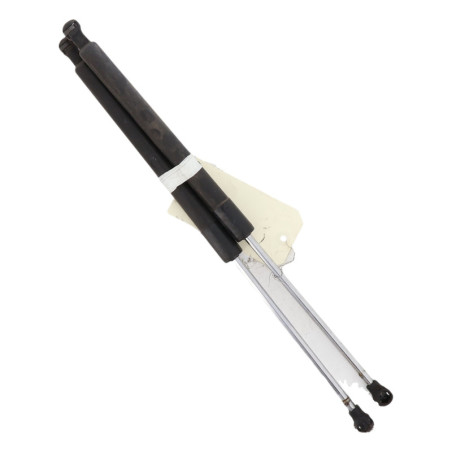 Verin de coffre RENAULT CLIO 3