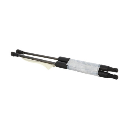 Verin de capot BMW X1 E84