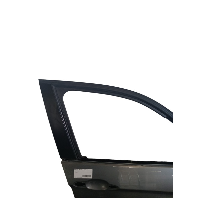 Porte avant droit BMW X1 E84 Photo n°1