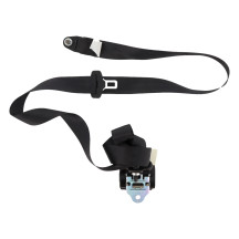 Ceinture arriere droit LANCIA YPSILON 5 Photo n°1