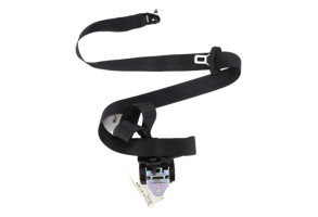 Ceinture arriere gauche LANCIA YPSILON 5 Photo n°5