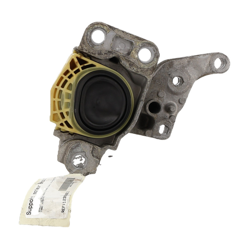 Support moteur droit RENAULT SCENIC 3 Photo n°1