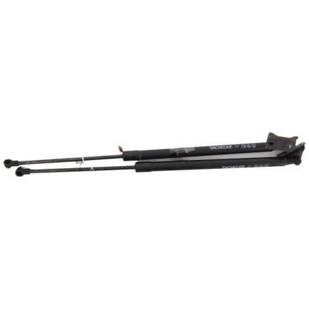 Verin de coffre RENAULT SCENIC 3