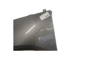 Aile avant gauche RENAULT SCENIC 3 Photo n°6