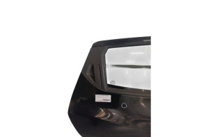 Porte arriere droit NISSAN JUKE 1 Photo n°5