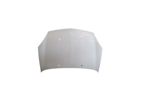 Capot RENAULT CLIO 2 Photo n°1