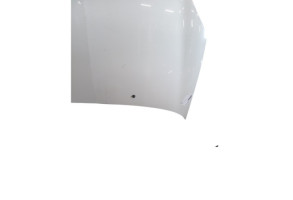 Capot RENAULT CLIO 2 Photo n°5