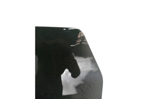 Vitre arriere gauche NISSAN QASHQAI 1 Photo n°3