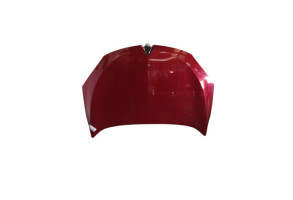 Capot RENAULT MEGANE 3 Photo n°4