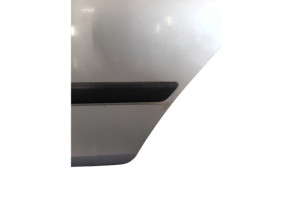 Porte arriere gauche SKODA FABIA 2 Photo n°6