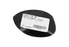Coquille de retroviseur droit PEUGEOT 206+ Photo n°3