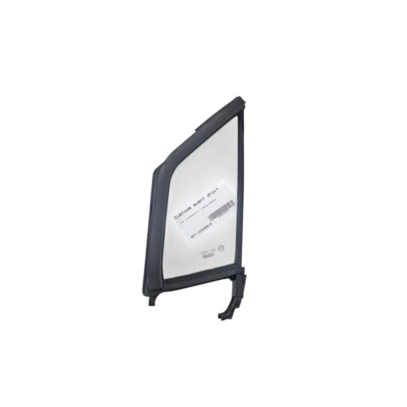 Custode avant droit (porte) OPEL AGILA B Photo n°1
