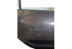 Porte arriere droit DACIA SANDERO 2 Photo n°4