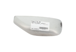Coquille de retroviseur droit RENAULT LAGUNA 2 Photo n°3