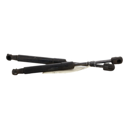 Verin de capot RENAULT SCENIC 3