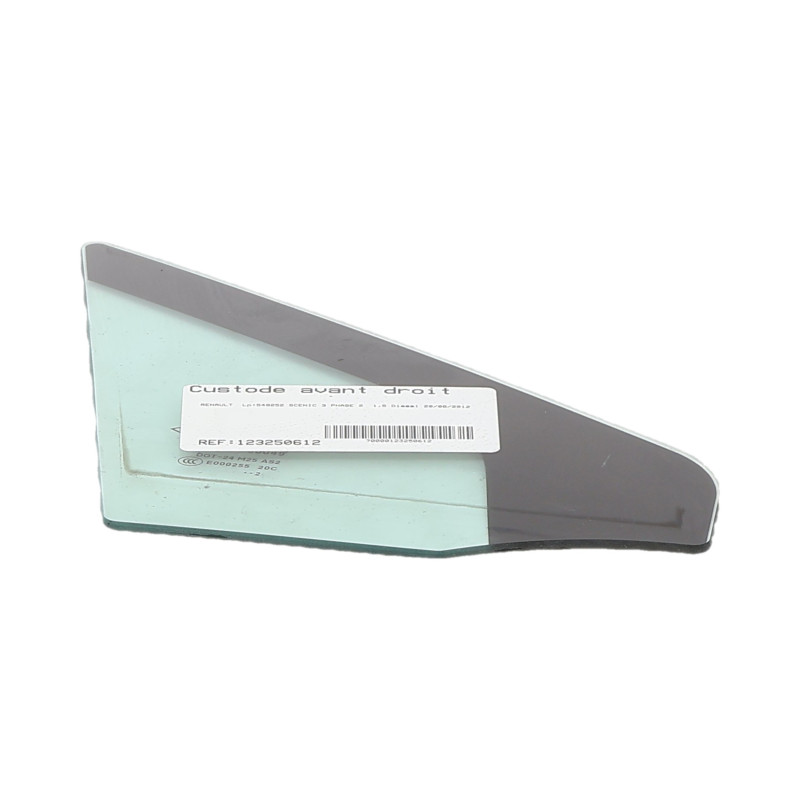 Custode avant droit (porte) RENAULT SCENIC 3 Photo n°1