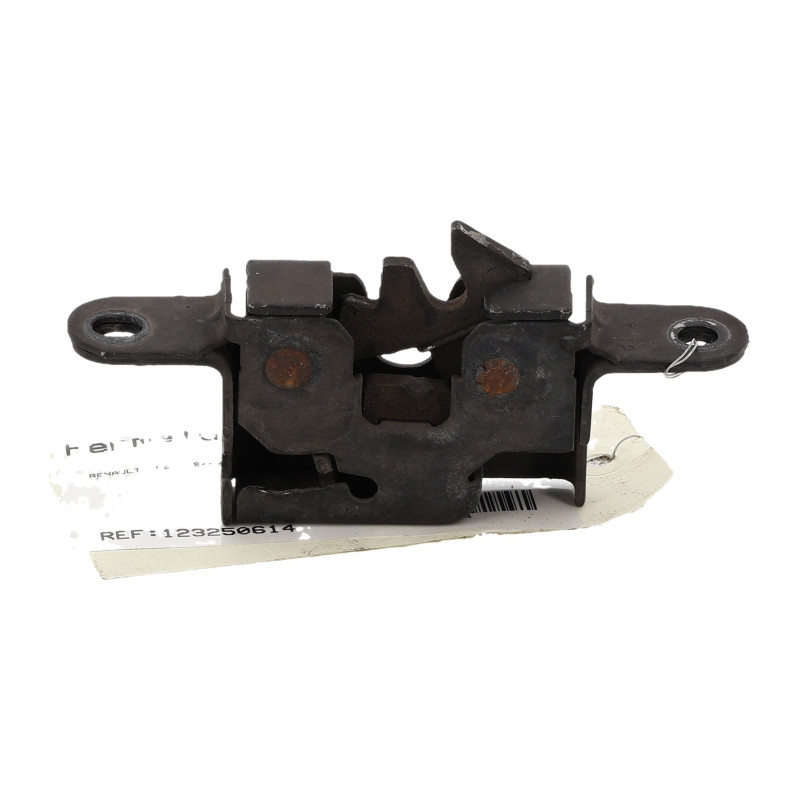 Fermeture de capot RENAULT SCENIC 3 Photo n°1