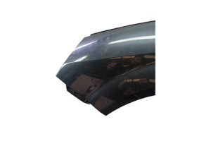 Aile avant gauche RENAULT SCENIC 2 Photo n°5