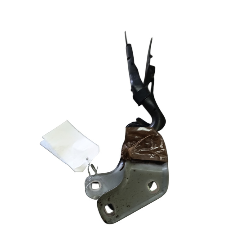 Charniere de capot RENAULT CLIO 3 Photo n°1