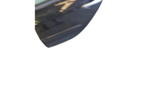 Porte arriere gauche RENAULT CLIO 3 Photo n°2